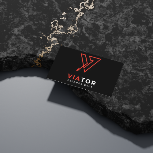viator.logo (2)